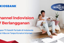 Channel Indovision TV Berlangganan Tanpa Koneksi Internet